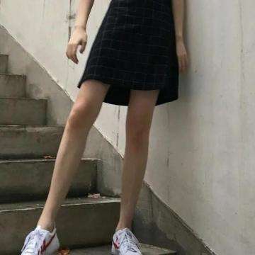 托卡宠物免费下载